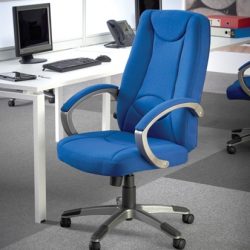 Fabric Managers Chairs