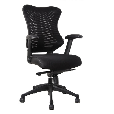 Spine Chair